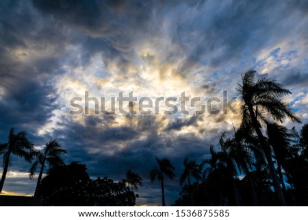 Dramatic dark cloudy sky and sun shining over coconut and palm trees at beach, stormy weather, silhouette trees
