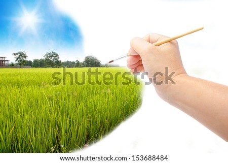 hand with paintbrush drawing ricefield 