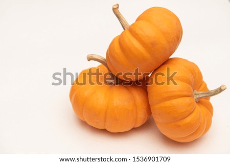 Isolated close-up of three orange mini pumpkin on white background