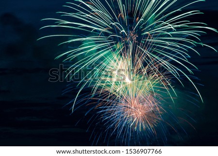 Festive bright beautiful fireworks. Multi-colored fiery flowers against a dark sky. Background for design.