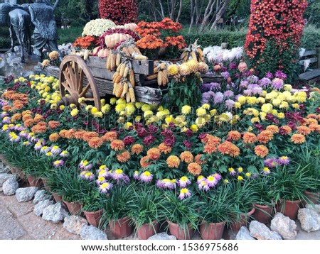 Flower garden decoration with wagon wheels and fruit
