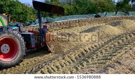 Corn crop, corn silage pile with tractor stuck Royalty-Free Stock Photo #1536980888
