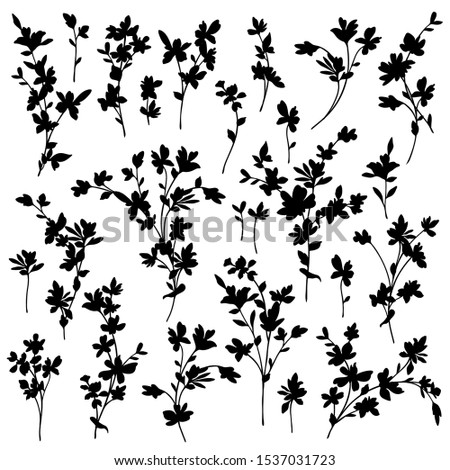 Vector illustration material of a beautiful flower