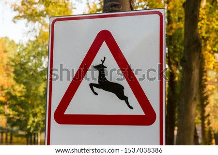 Warning road sign set in the autumn forest, forewarn about wild animals crossing the road 
