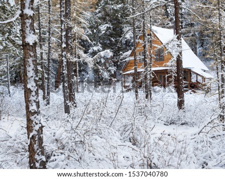 Wonderful winter scenery with  house and pine forest 