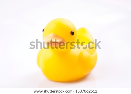 Yellow duck toy for play on white background, animal toy for child play for funny 