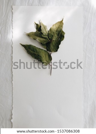 Dry green leaves and handmade cold pressed paper on white linen fabric background. Autumn flat lay mockup. Simple minimalist template.