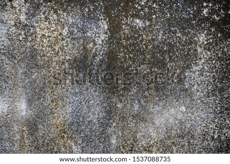 Abstract green moss and fungus on concrete wall texture background