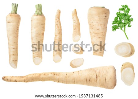 Parsley root and slices isolated on white background. Top view. Flat lay, Set or collection Royalty-Free Stock Photo #1537131485