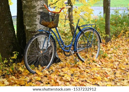 Autumn leaves & bicycle on the street