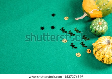 Halloween pumpkin, witch decoration on green background