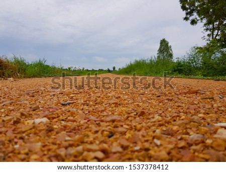 The empty orange color rock road passed through the green grass field from the ant eyes view.