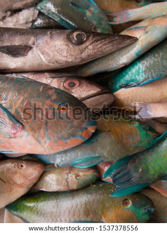 Fresh fish at the seafood market, Traditional fish in market. Hurghada. Egypt.