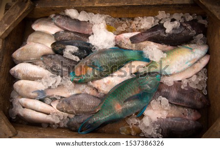 Fish. Fisherman's catch. Marine fish wooden box. A fish market.