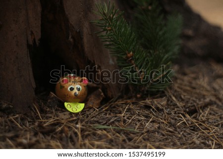 golden mouse sits on a pine tree in a forest burrow