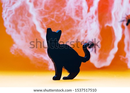 plexiglas black cat isolated on orange halloween background