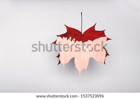 Maple leaf in pink acrilic color paint. Pastel colors, place for text. Leaf isolated on white background. 