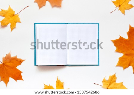 Empty book with autumn leaves. Blank mock up open notebook with maple leaves, top view. Template magazine. Copy space