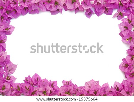 Pink flower frame isolated on white.