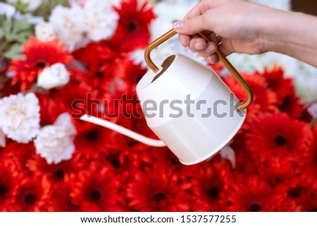 Elegant watering can in female hands with colorful flowers on the background. Concept of gardening or flower shop. Copy space for text. Closeup photo