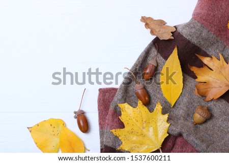 autumn composition and autumn leaves
