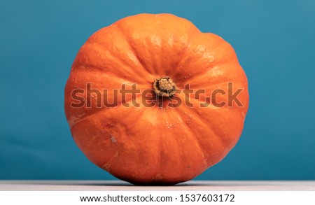 halloween pumpkin  orange fruit seasonal
