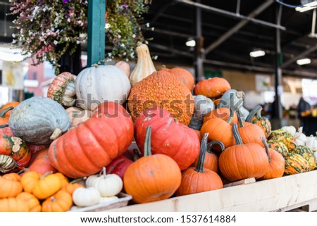 Pumpkins stacked in a market in Quebec Canada.
