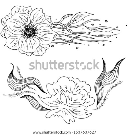 Set of summer tropical flowers. Floral botanical flower set isolated on black background. Hand drawn vector collection. Botanical Hawaii nature. Tropical palm icon. Hawaiian vector tattoo