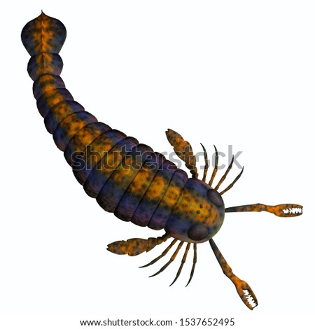 Pterygotus Scorpion Tail 3D illustration - Pterygotus was a carnivorous marine arthropod that lived in seas of the Silurian and Devonian Periods.