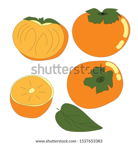 Set of juicy vector persimmon fruits.