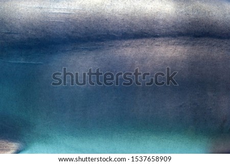 Close-up Shark leather background, sharp points on a grey skin