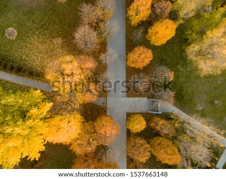 Landscape city park in a beautiful autumn day. View from above on trees with red and yellow leaves and track. Autumn photography with bird's eye view. Top view