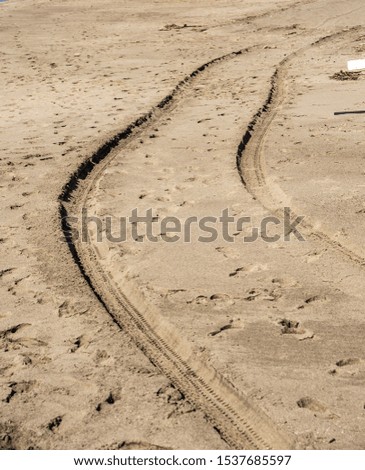 Tire mark vehicle on the sand beach, winter season