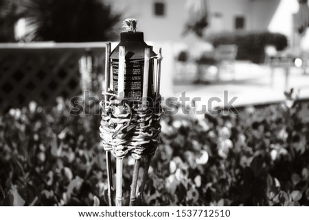 Citronella patio torch during summer Royalty-Free Stock Photo #1537712510