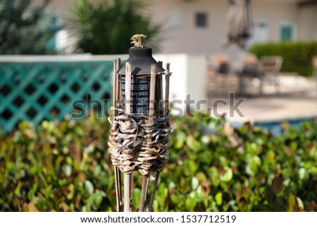 Citronella patio torch during summer Royalty-Free Stock Photo #1537712519