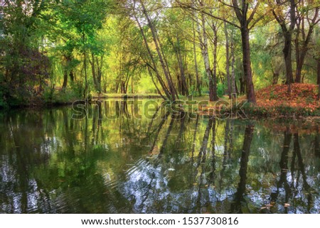 Beautiful lake in autumn and yellow trees