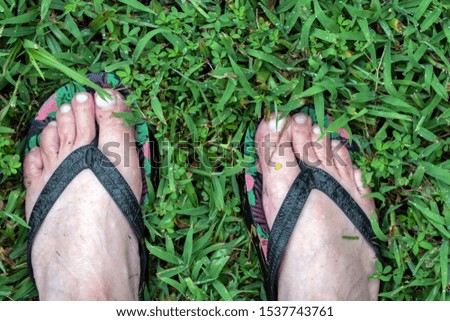 Wet feet in flip flops on the lawn in Missouri for a comfortable lazy day. Bokeh.