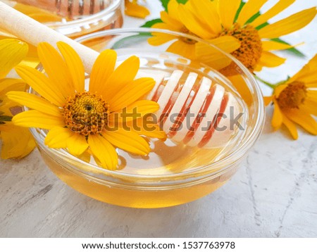 fresh honey flower calendula on concrete background
