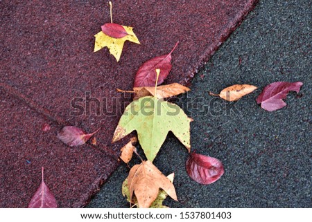 autumn background on the playground floor
