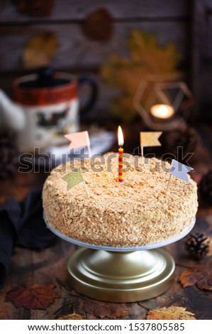 Delicious homemade millefeuille cake (Napoleon) on rustic background