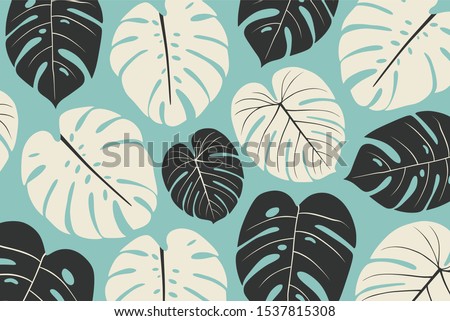 Background with tropical palm leaves, monstera, passion fruit. Beautiful hand-drawn exotic plants. Floral background. Monstera isolated on blue background. Monstera leaves, jungle