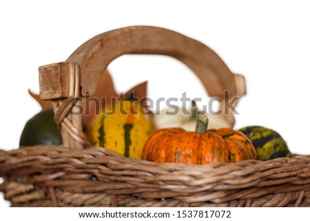 Variety of pumpkins on wicker basket