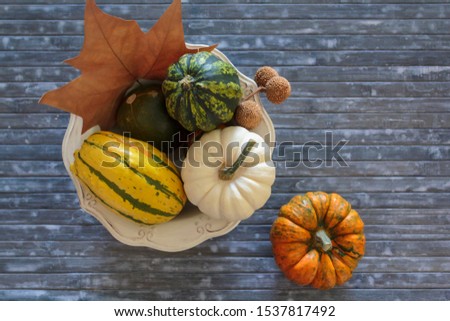 Top view of bowl with pumpkins and autumnal leaves on blue background