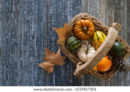 Top view of pumpkins in wicker basket and dry leaves on blue background