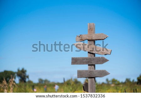 blank directional signpost in rural area with field blue sky background, pumpkin patch sign with people in the background picking out pumpkins, fall season, halloween pumpkins, copyspace, empty sign