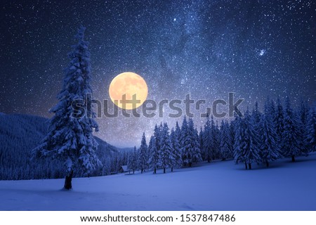 Winter night with full moon and starry sky. Frost covered trees in a mountain forest. Landscape with fresh snow
