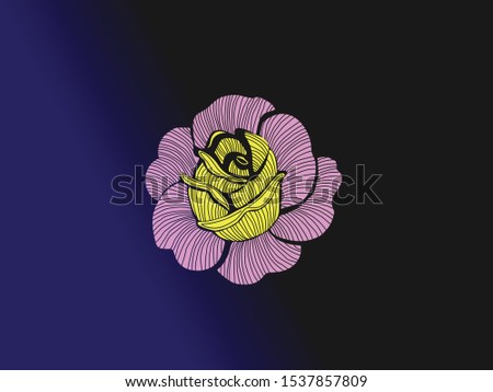 beautiful and colorful flower with dark background