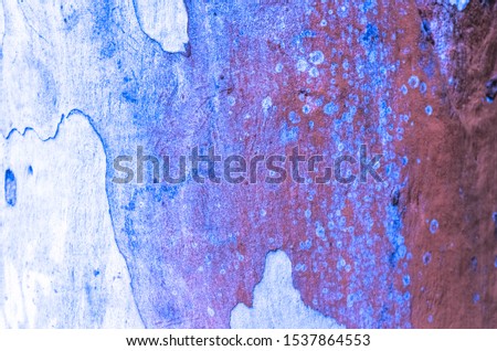 Abstract skin wood texture, colorful background