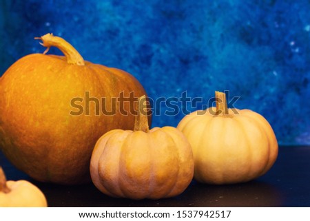 Pumpkins on blue table. Halloween background with pumpkin. Copy space. Closeup view.