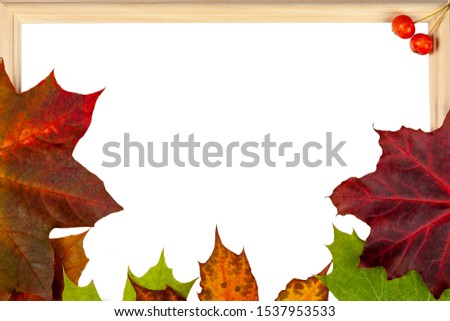 Autumn composition - a wooden frame framed by colorful autumn leaves